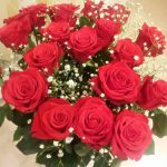 真紅の薔薇